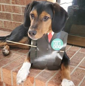 Meet your Posher, Vikas